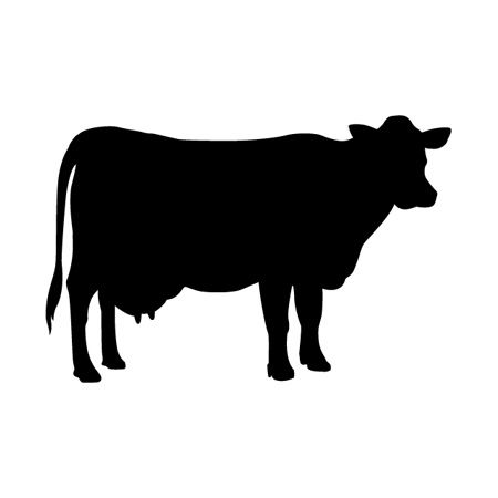 Cow Iron on Decal